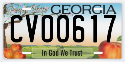 GA license plate CVO0617
