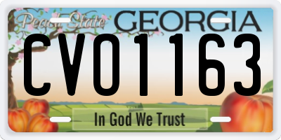 GA license plate CVO1163