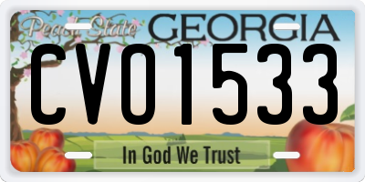 GA license plate CVO1533