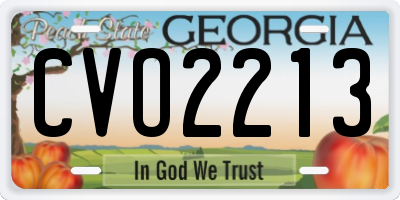 GA license plate CVO2213