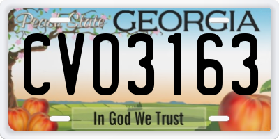 GA license plate CVO3163