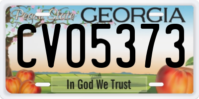 GA license plate CVO5373