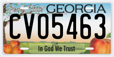 GA license plate CVO5463