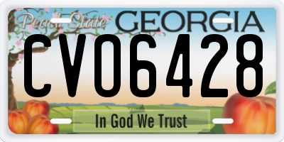 GA license plate CVO6428