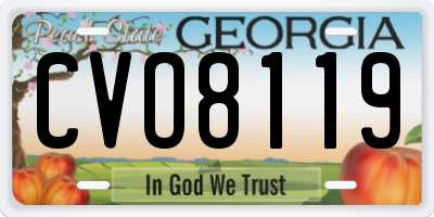 GA license plate CVO8119