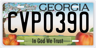 GA license plate CVP0390