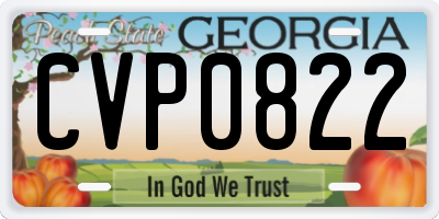 GA license plate CVP0822
