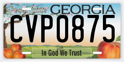 GA license plate CVP0875