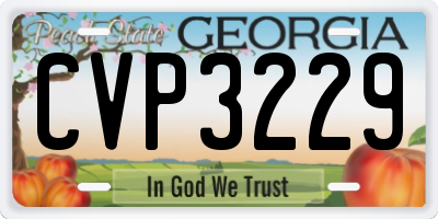 GA license plate CVP3229