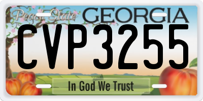 GA license plate CVP3255