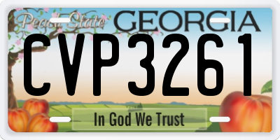 GA license plate CVP3261