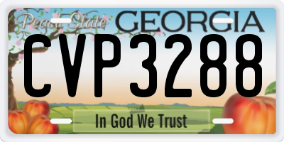 GA license plate CVP3288