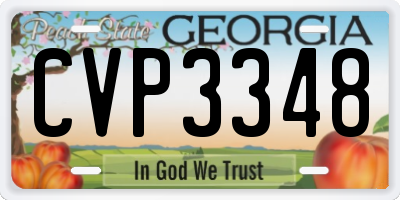 GA license plate CVP3348