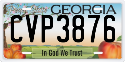 GA license plate CVP3876