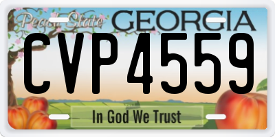 GA license plate CVP4559
