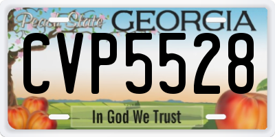 GA license plate CVP5528