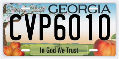 GA license plate CVP6010