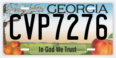 GA license plate CVP7276