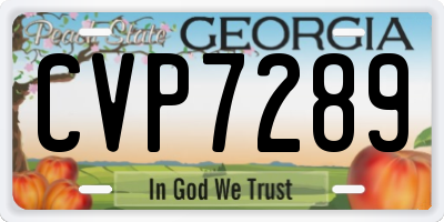 GA license plate CVP7289