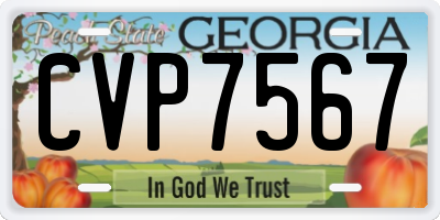 GA license plate CVP7567