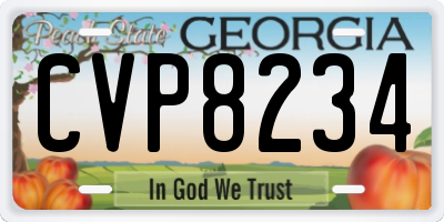 GA license plate CVP8234
