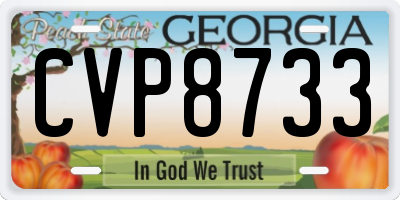 GA license plate CVP8733
