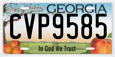 GA license plate CVP9585