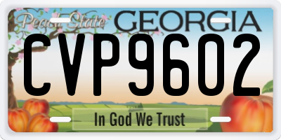 GA license plate CVP9602