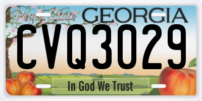 GA license plate CVQ3029