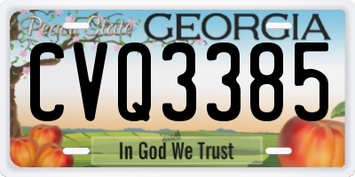 GA license plate CVQ3385