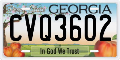 GA license plate CVQ3602