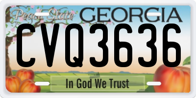 GA license plate CVQ3636