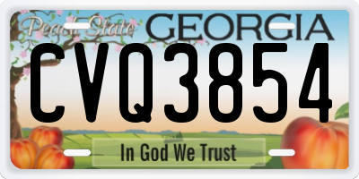 GA license plate CVQ3854