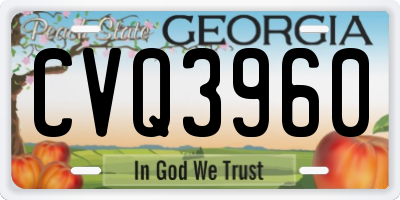GA license plate CVQ3960
