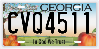 GA license plate CVQ4511