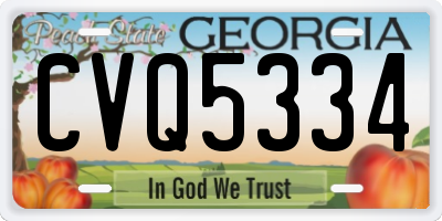 GA license plate CVQ5334