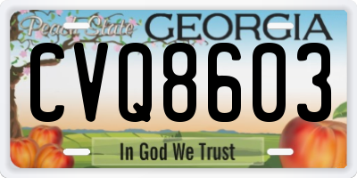 GA license plate CVQ8603