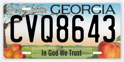 GA license plate CVQ8643