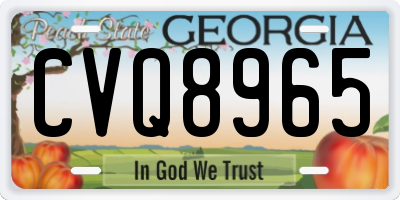 GA license plate CVQ8965