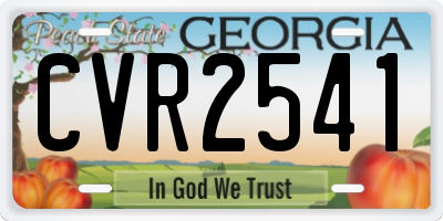 GA license plate CVR2541