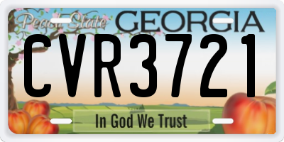 GA license plate CVR3721