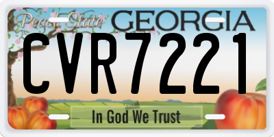 GA license plate CVR7221