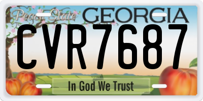 GA license plate CVR7687