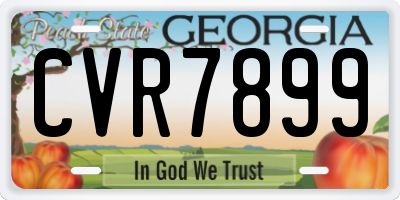 GA license plate CVR7899