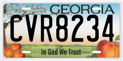 GA license plate CVR8234