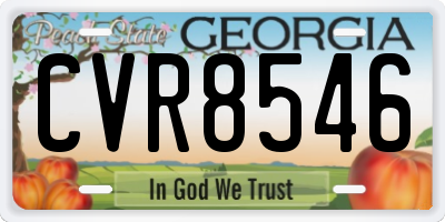 GA license plate CVR8546