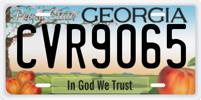 GA license plate CVR9065