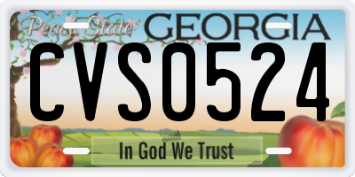 GA license plate CVS0524