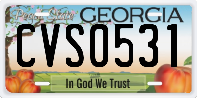 GA license plate CVS0531