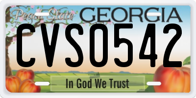GA license plate CVS0542